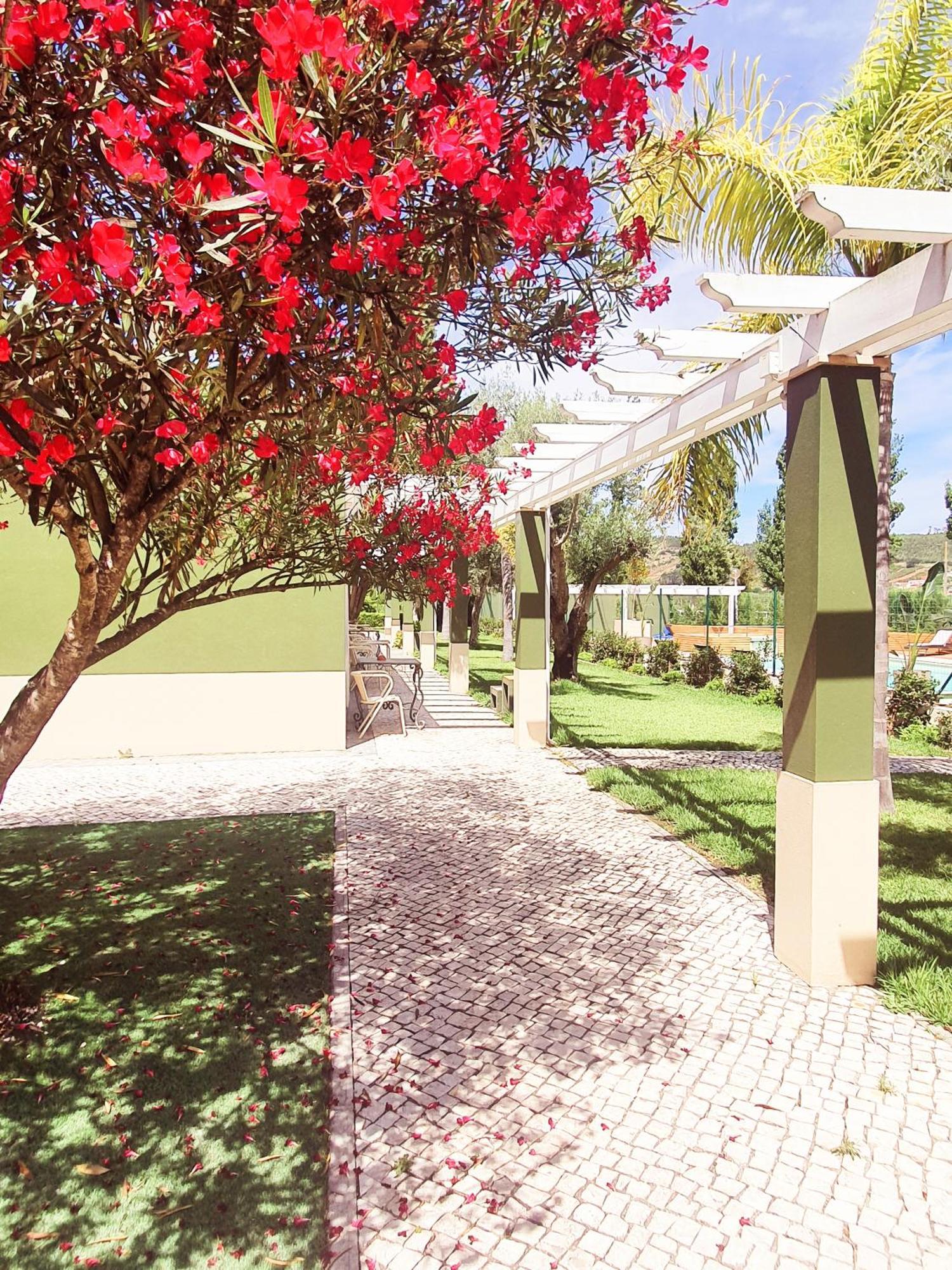 Quinta Do Pinheiro Hotel E Eventos - Gql 瓦尔杜德弗拉德斯 外观 照片